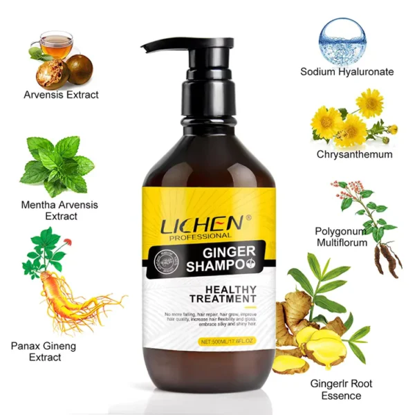 Organic Lichen Ginger Shampoo (500ml)